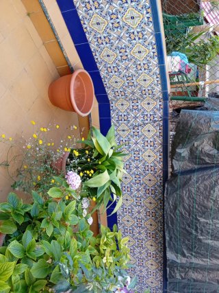 Albañil