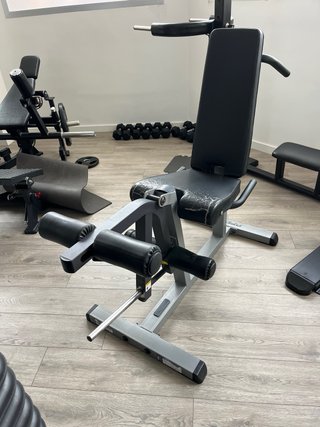 Máquinas de gym para espalda, brazos y piernas.