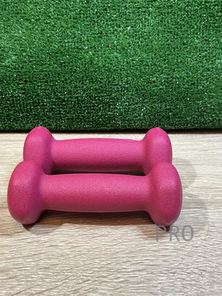 Juego de 2 Mancuernas 0,5KG SONGMICS