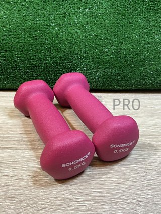 Juego de 2 Mancuernas 0,5KG SONGMICS