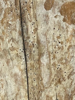 Antigua artesa alargada de madera