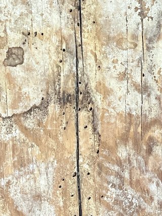 Antigua artesa alargada de madera