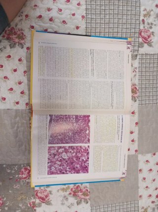 Histología texto y atlas color con biología cel...
