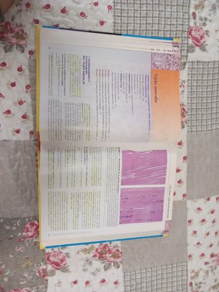 Histología texto y atlas color con biología cel...