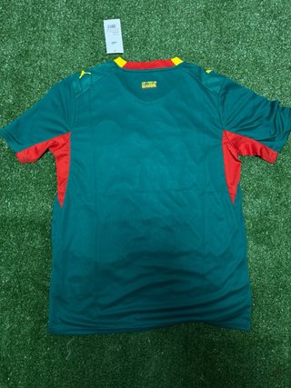 Camiseta Senegal mundial