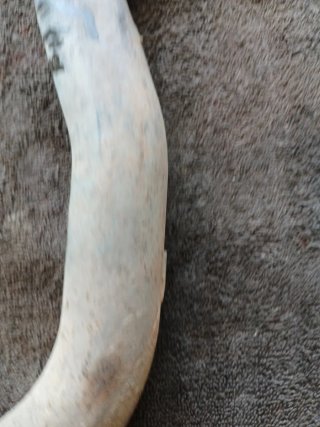 Tubo de escape Yamaha WR YZF