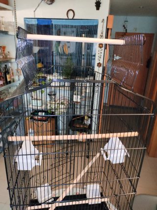 Jaula para loros negra