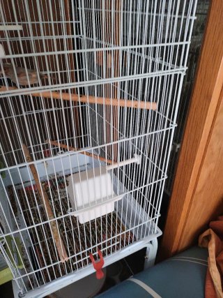 Jaula para loros negra
