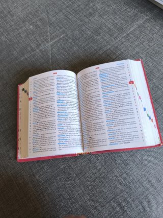 Diccionario esencial, lengua española