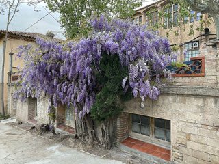 Local comercial en alquiler en Molins de Rei
