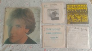 Vinilo Plastic Bertrand L'album Plastic