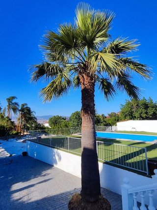 Chalet en alquiler en Manantiales - Lagar - Cortijo en Alhaurín de la Torre