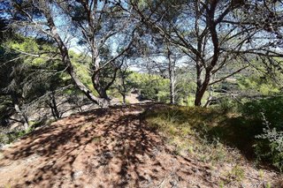 Casa rural en venta en Ferreries