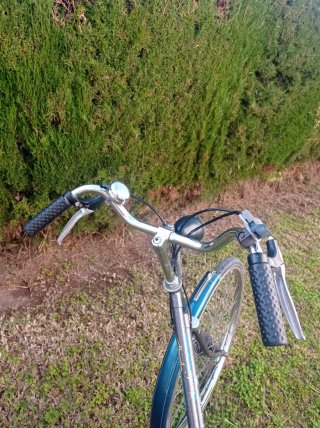 Bicicleta Gazelle