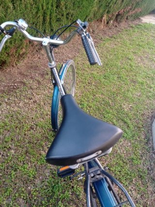 Bicicleta Gazelle