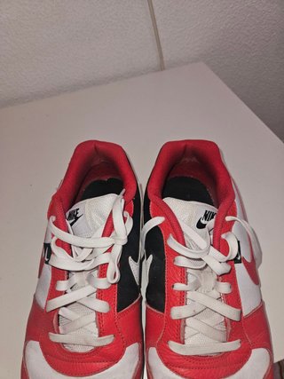Nike Ebernon Low Talla 47