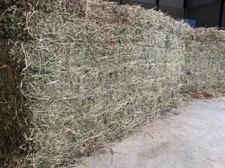 Fardos de Alfalfa seca