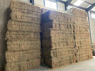 Fardos de Alfalfa seca