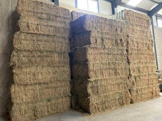 Fardos de Alfalfa seca