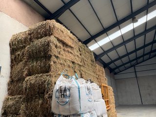 Fardos de Alfalfa seca