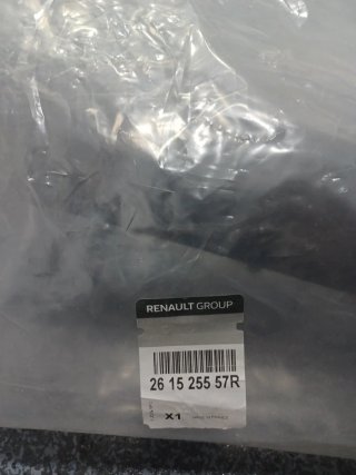 Embellecedor Paragolpes Delantero Izquierdo
