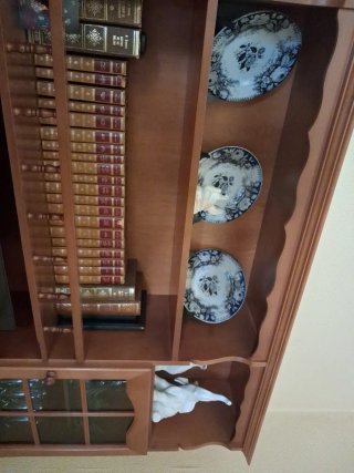 Librería madera con vitrinas y puertas