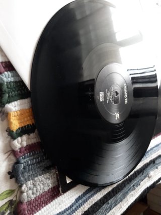 Vinilo Punk Rock Dwarves