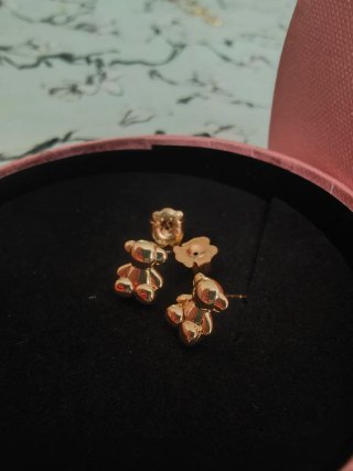 Pendientes Oso