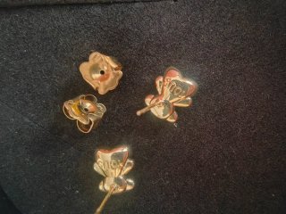 Pendientes Oso