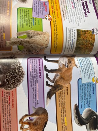 Mi primer atlas de animales