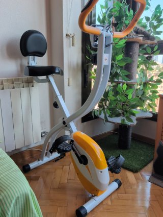 Bicicleta Estática Ultrasport F-Bike