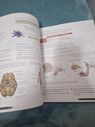 Biologia i Geologia 3r ESO. Llibre de l'estudia...