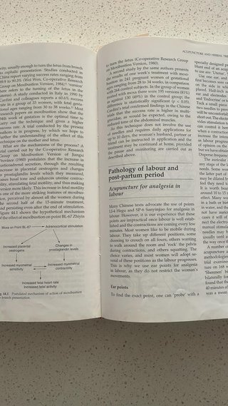 Obstetrics and Gynecology in Chinese Medicine
