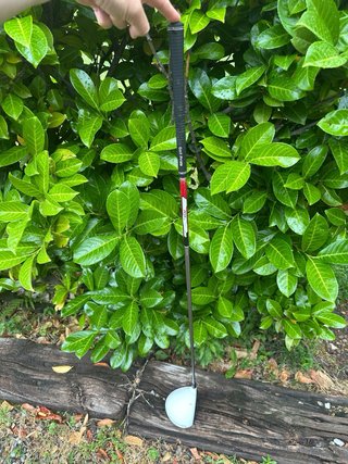 Driver Taylormade R11S Golf