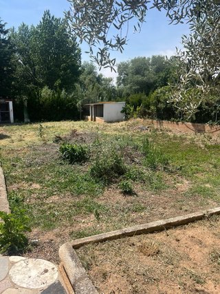 Mantenimiento de jardines, poda, limpieza