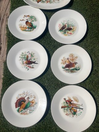 Juego 6 Platos Porcelana Caza y fuente