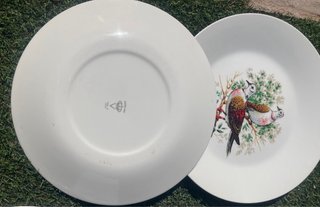 Juego 6 Platos Porcelana Caza y fuente