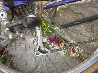 Bicicleta Paseo ESPRIT MT 7 Touring