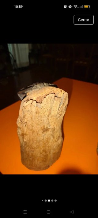 Árbol de la vida Makonde años 50