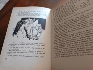 Novela juvenil "Puck" de Lisbeth Werner
