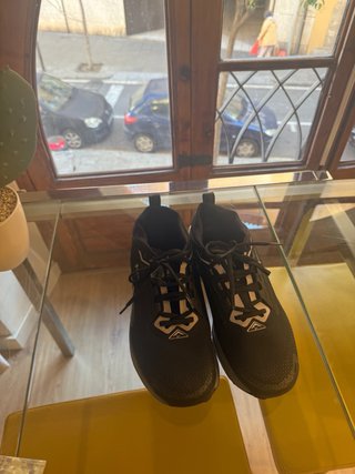 Nike Pegasus Trail 5 Negro