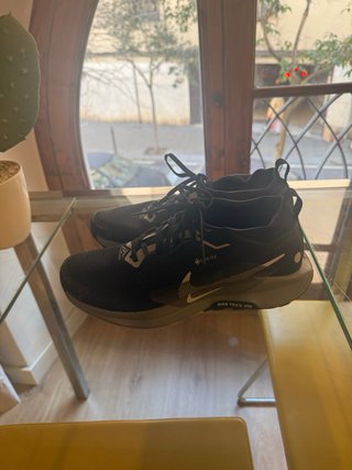 Nike Pegasus Trail 5 Negro