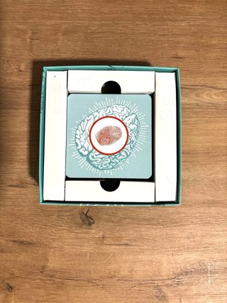 Juego de mesa Cortex Challenge