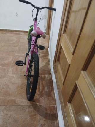 Bicicleta infantil TEAM 20 pulgadas