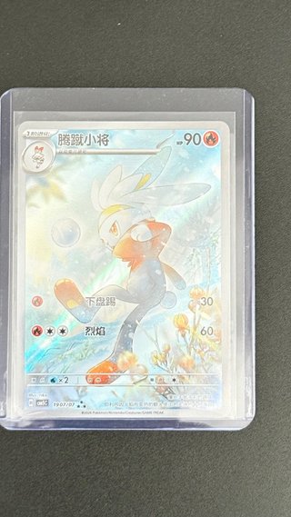 Lote Cartas Pokémon
