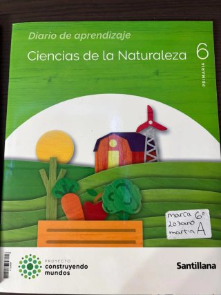 Lote Libros Santillana 6° PRIMARIA