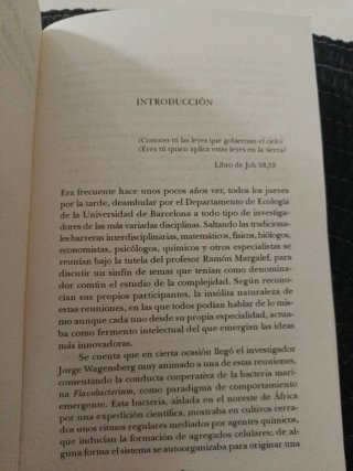 Vida Artificial Del Caos Al Orden
