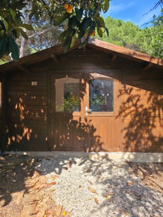 Alquiler casa madera con jardin
