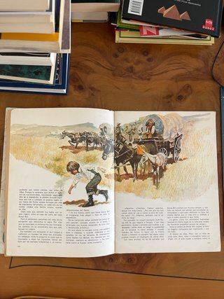 Biblioteca nuevas narraciones el viejo y el niño