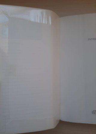 Invisible (forrado)